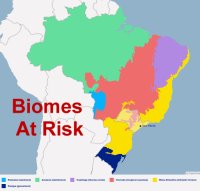 Brazil biomes at risk 2024